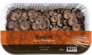 Oyster Mushroom 1pcs(300g)